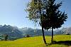 dsc4054.jpg