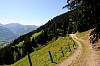 dsc4123.jpg