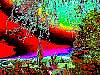 98021.jpg