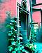 dscn02132.jpg