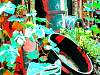 dscn02151.jpg