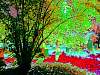 dscn02461.jpg