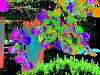 dscn02472.jpg