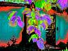dscn02481.jpg