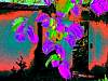 dscn02482.jpg
