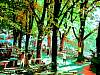 dscn02531.jpg