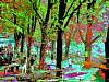 dscn02532.jpg