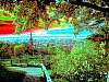 dscn03512.jpg
