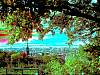dscn03521.jpg