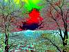dscn03541.jpg