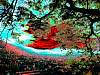 dscn03551.jpg