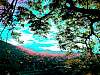 dscn03552.jpg