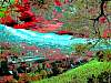 dscn03561.jpg