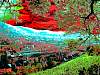 dscn03562.jpg