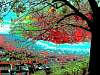 dscn03571.jpg