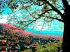 dscn03572.jpg