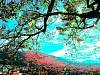 dscn03581.jpg