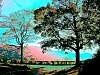 dscn03591.jpg