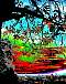 dscn03611.jpg