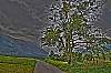 dsc_1014_2_3_tonemapped.jpg
