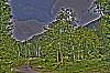 dsc_1797_5_6_tonemapped.jpg