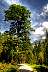 dsc_1809_7_8_tonemapped_1.jpg