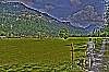 dsc_1830_28_29_tonemapped.jpg