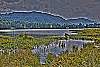 Geroldsee
