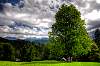 dsc_5520_1_2_tonemapped.jpg