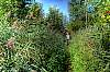 bike_oberschwaben_2012_2.jpg