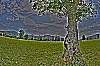 dsc_0366_4_5_tonemapped_bunt.jpg