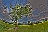 dsc_0369_7_8_tonemapped_bunt.jpg