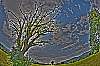 dsc_0387_5_6_tonemapped_bunt.jpg