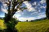 dsc_0390_88_89_tonemapped_1.jpg