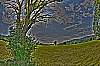 dsc_0390_88_89_tonemapped_bunt.jpg