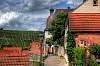 besigheim_2011_13.jpg