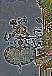 dsc_2163_1_2.jpg