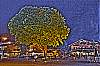 dsc_2316_4_5.jpg