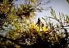 dscn1317.jpg