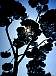 dscn1361.jpg