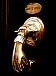 dscn1395.jpg