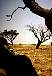 dscn1417.jpg