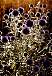 dscn1485.jpg