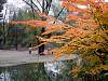 Hellabrunn