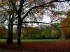 Englischer Garten