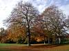 Englischer Garten