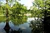 Ostteil des Parks