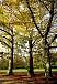 Englischer Garten