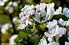 dsc00088_a_d.jpg
