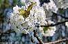 dsc00097_a.jpg